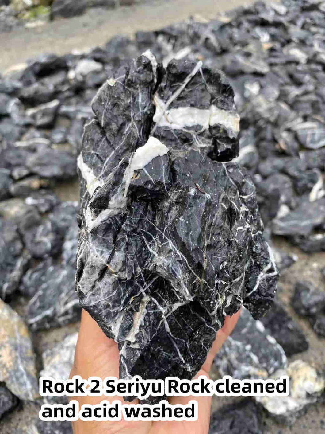 Detailed Dragon Stone 1