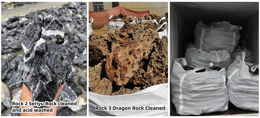 Dragon Stone Packaging