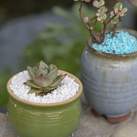 White Pebbles, Decorative White Rocks for Planters, Vase, Garden, Landscaping, Succulents, Highly Polished and Smooth Surface