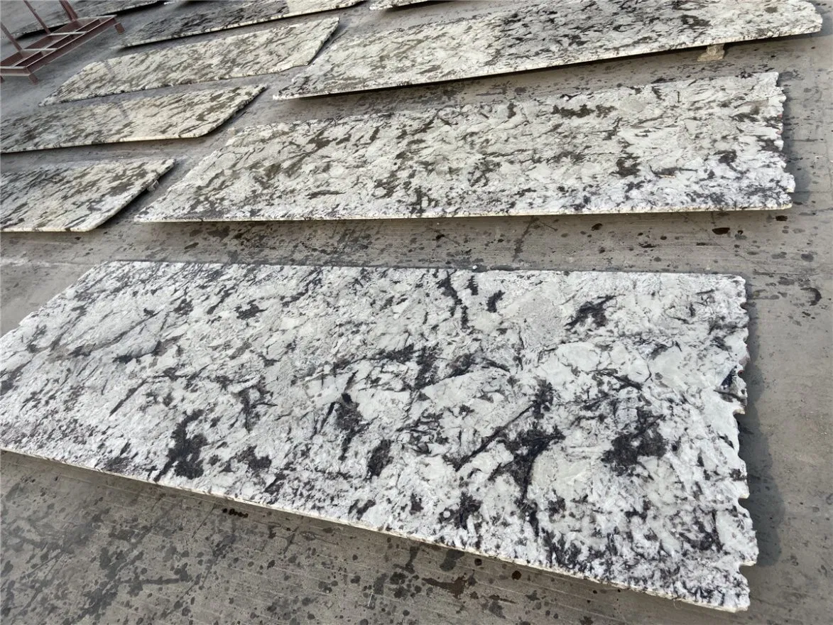 Splendor White Granite Counter Tops/ Vanity Tops for Kitchen/Bathroom