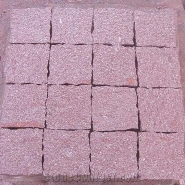 Paving Stone 6