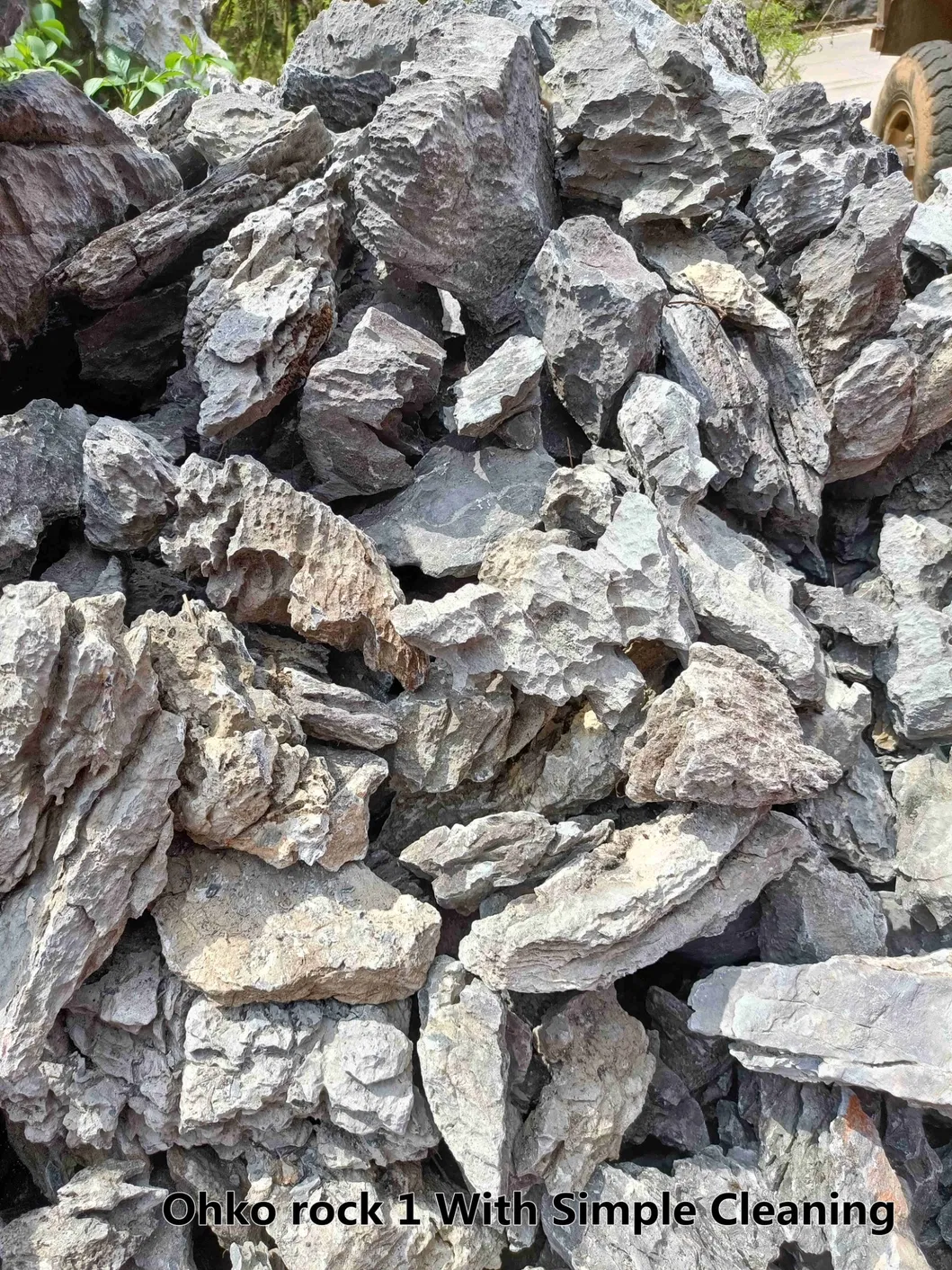 Detailed Dragon Stone 2