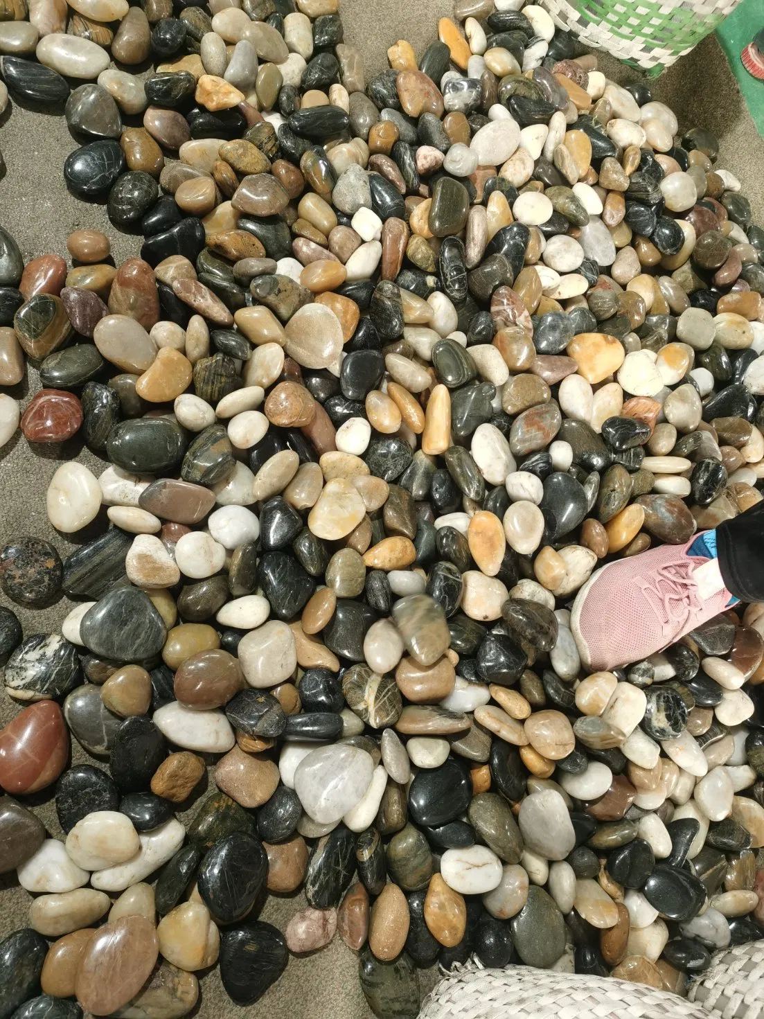 Mixed Colorful Natural Polished Pebble Garden Pebbles Stone for Landscaping Paving Flooring
