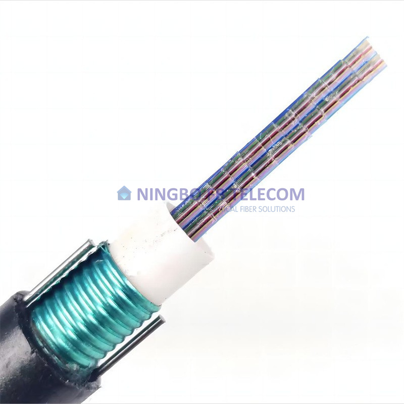 Central Loose Tube Light Armored Ribbon Cable Gydxtw Optical Fiber Cable