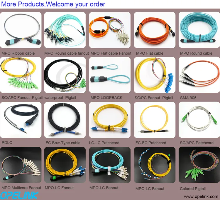 MPO Cable Detail 1