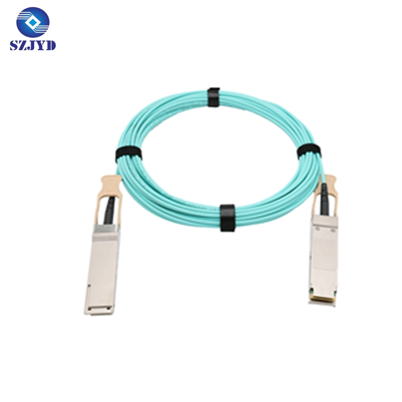 OEM Factory 25g Aoc 100m Data Center Network Cable Active Optical Cable Indoor Fiber Optic Cable