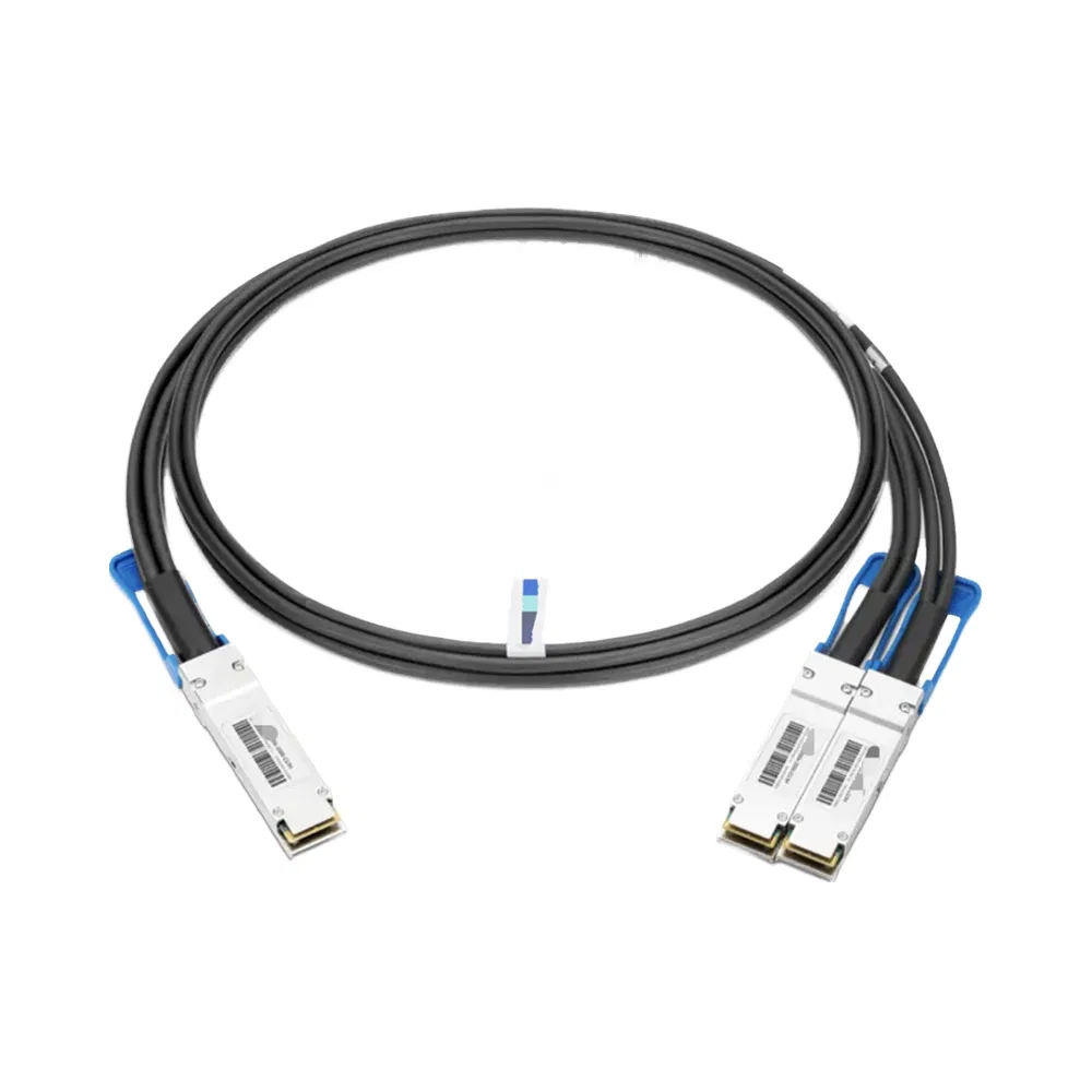 Generic 1m (3FT) Ethernet 200gbe Qsfp56 to 2X100gbe Qsfp56 Compatible Optical Module Passive Copper Hybrid Fiber Cable