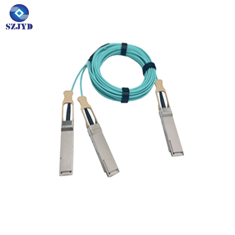 OEM Factory 25g Aoc 100m Data Center Network Cable Active Optical Cable Indoor Fiber Optic Cable