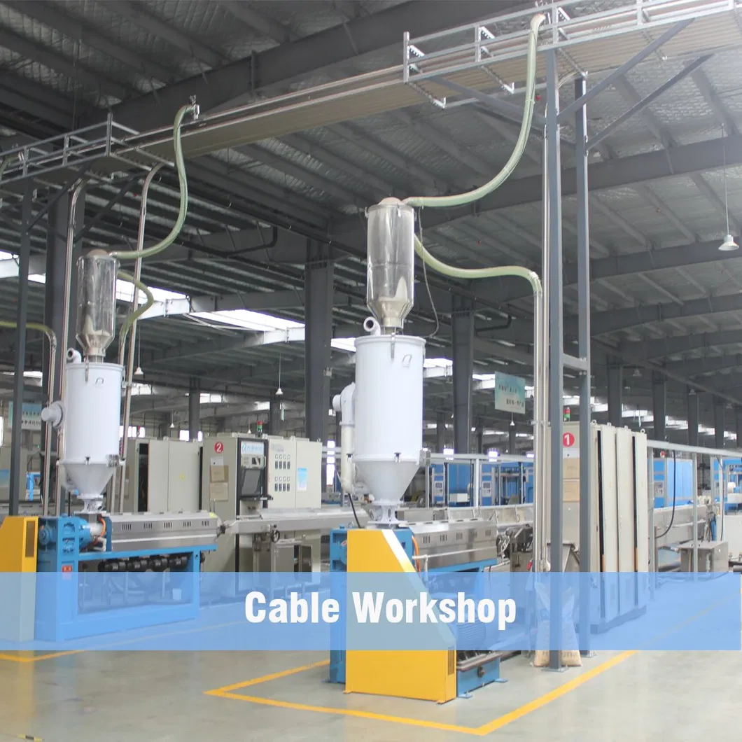 Workshop 6