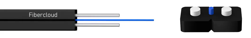 Parameter 1