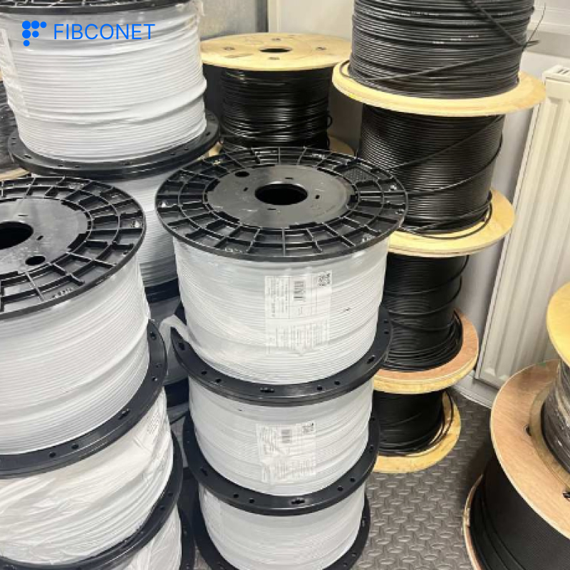 Buried/ADSS/Asu/Undersea/Air Blown/Drop Indoor/Outdoor 50/125 2/12/24/48/288 Core 12f Armored Fiber Optic Cable