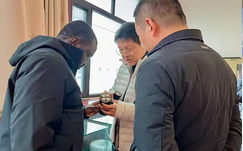 Cooperation 1