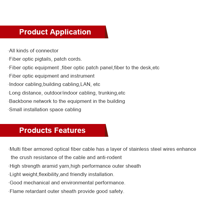 Custom Indoor Simplex Armored Indoor Multi Core Fiber Gjsfjbv Fiber Optic Cable