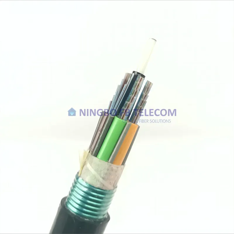 Fiber Cable Detail 4