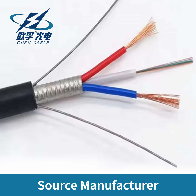 Fttp Fiber and Electric Hybrid Flat Drop 1-24 Core Single Mode Fiber Optic Cable with Copper Wire