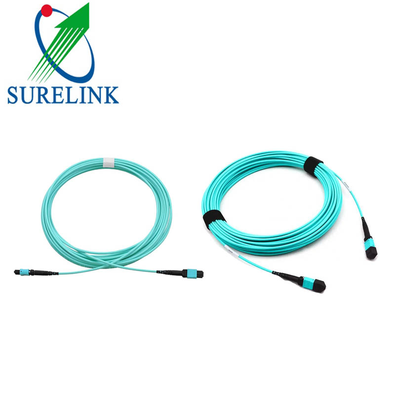 1fiber 2fiber MPO to MPO Fiber Patch Cord for Data Center MPO Mpt Fibra Patch Cable