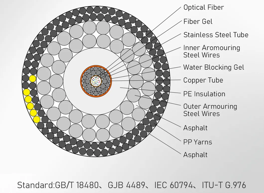 Submarine Cable Details