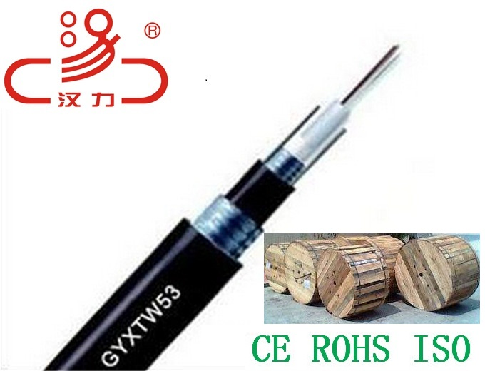 Direct Bury Underground 24 Core GYXTW Optic Fiber Cable