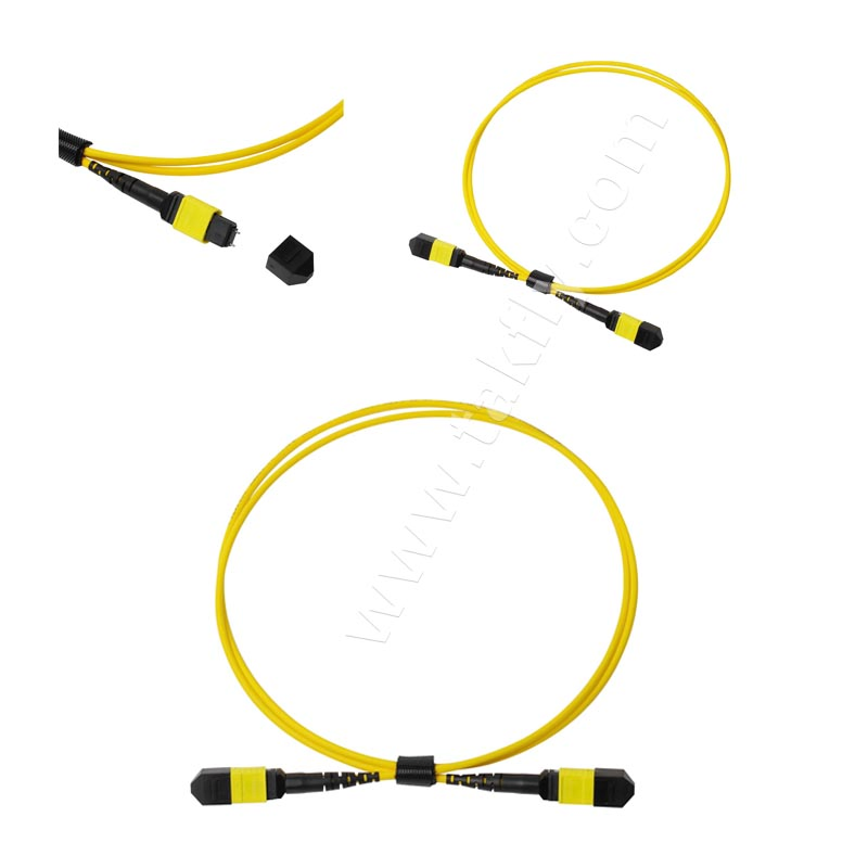 8 Cores 12cores 24 Cores MPO MTP Sm Om3 Om4 Om5 Data Center Cabling Fiber Optic MPO Fiber Cable