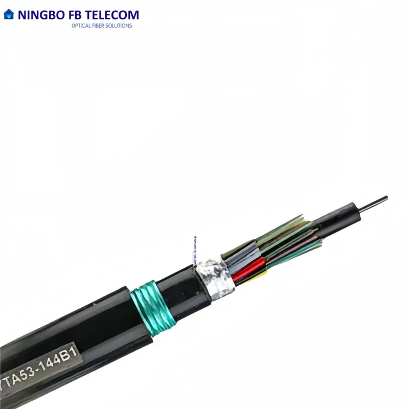 Fiber Optic Cable Detail 1