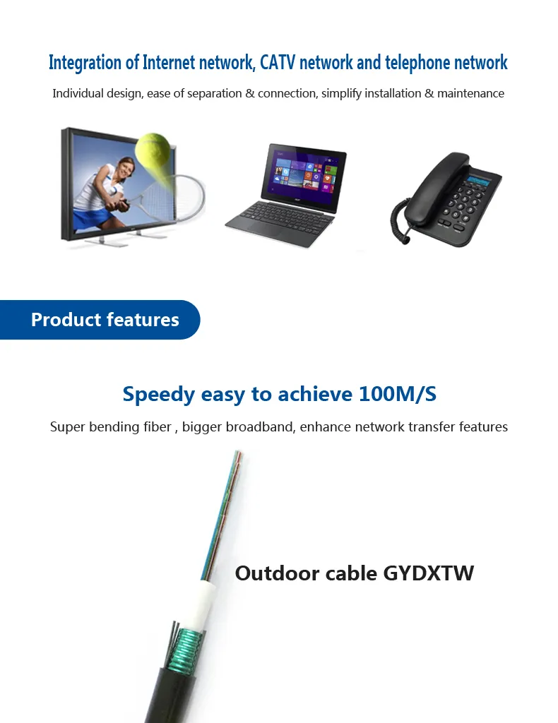 Fiber Cable Detail