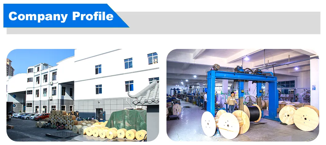 Production Facility