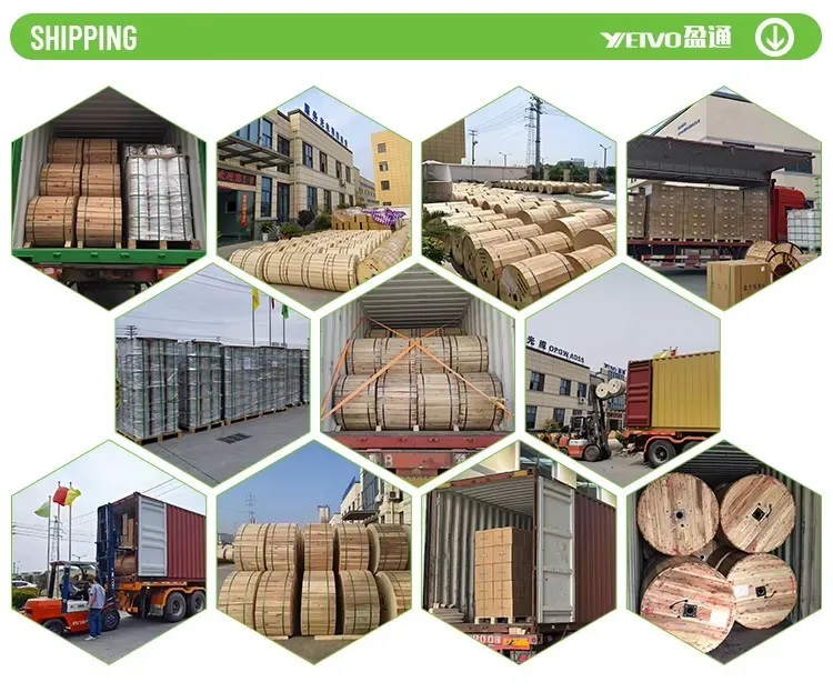 Packaging Process