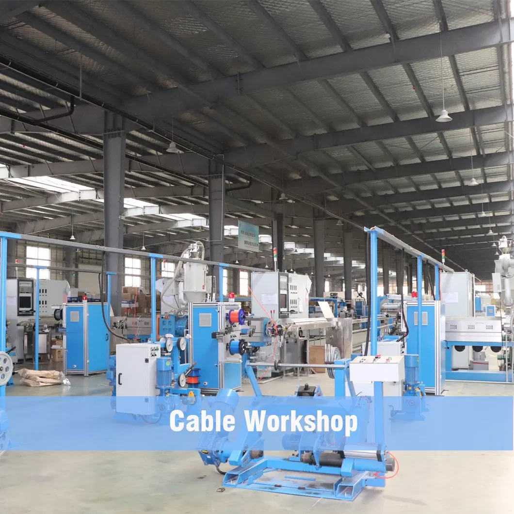 Workshop 5