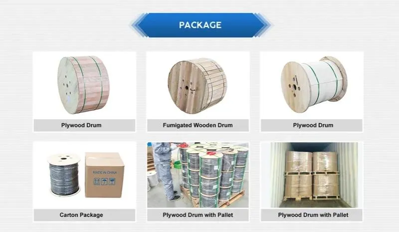 Packaging Detail 1