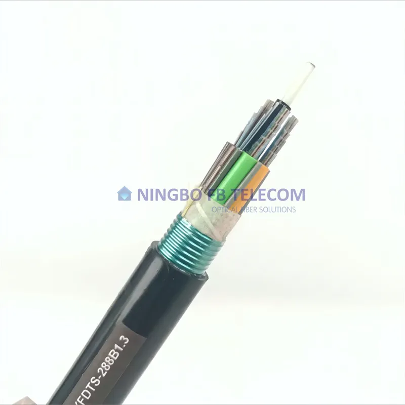 Fiber Cable Detail 2