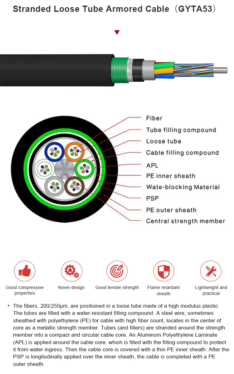 GYTA53 Cable View