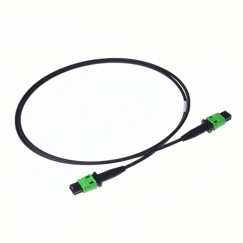 MPO Patchcord Detail 1