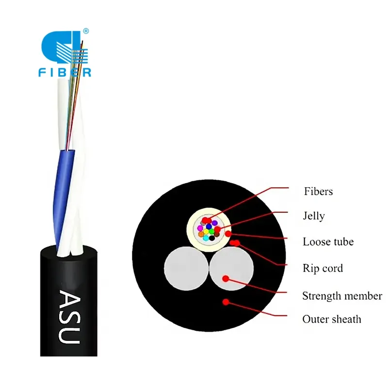 Detailed Technical Illustration