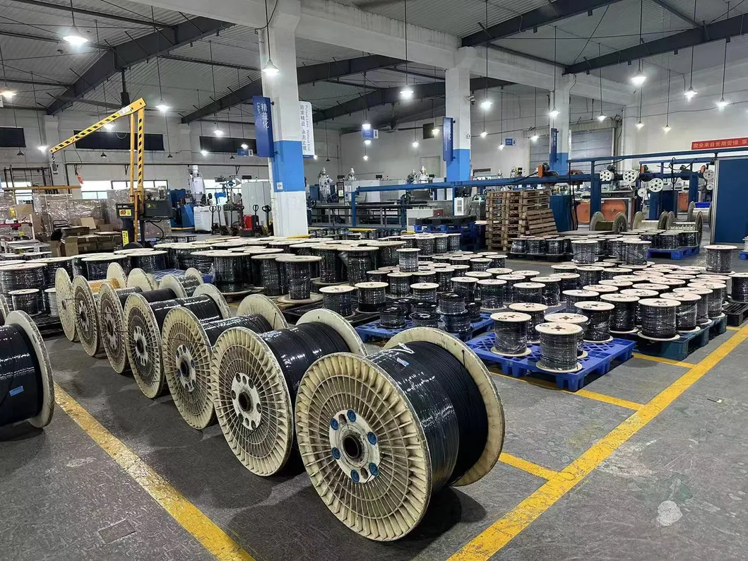 Ready for Shipping