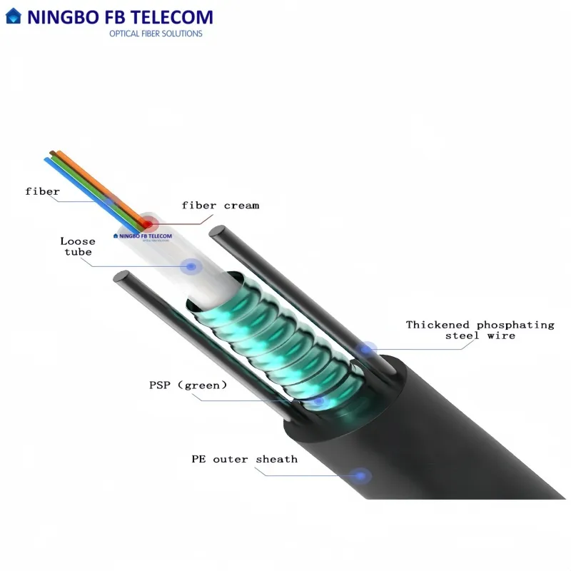 Fiber Cable View 1