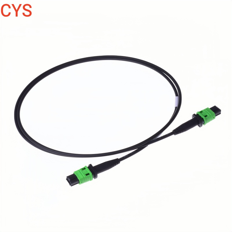MPO Push Pull MPO Trunk Cable Mt Fiber Array Unit Mt Assembly Osfp Qsfp Aoc Optical Transceiver Data Center Nvidia Low Loss MPO Patchcord