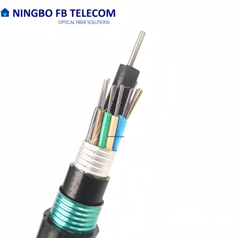 Fiber Optic Cable Detail 3