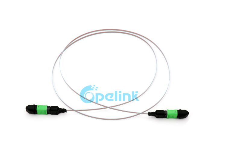 MPO/APC-MPO/APC Ribbon Fiber Optic Patch Cable