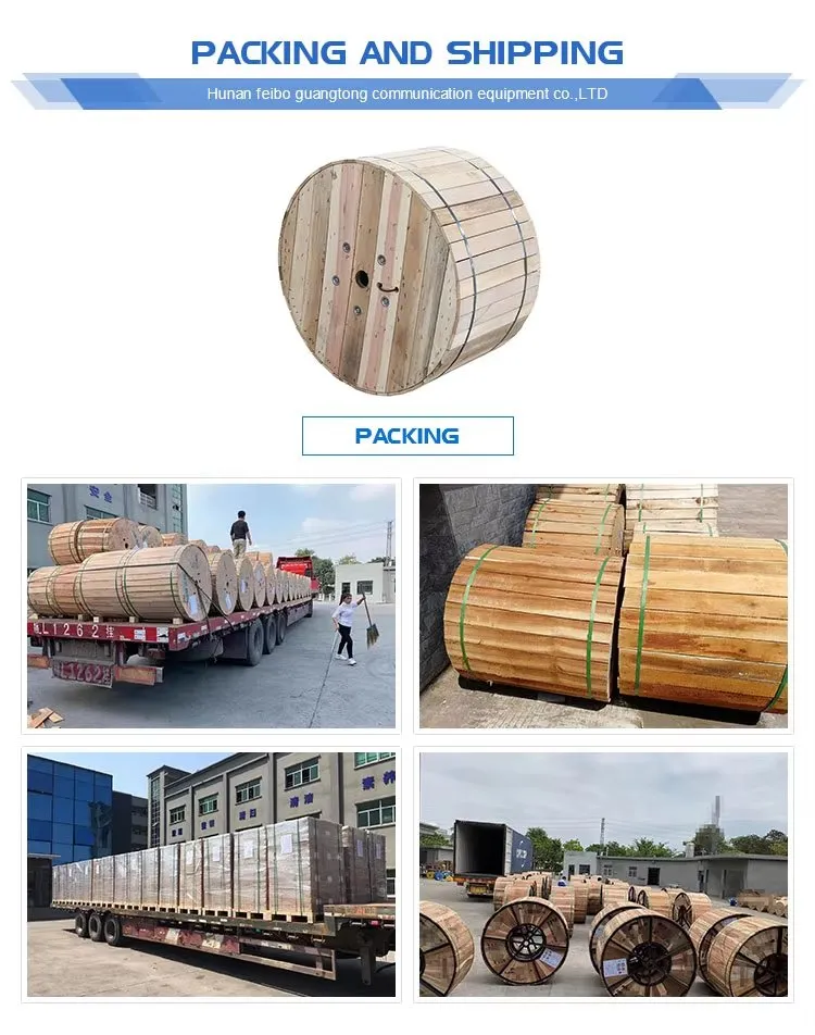 Shipping Packaging