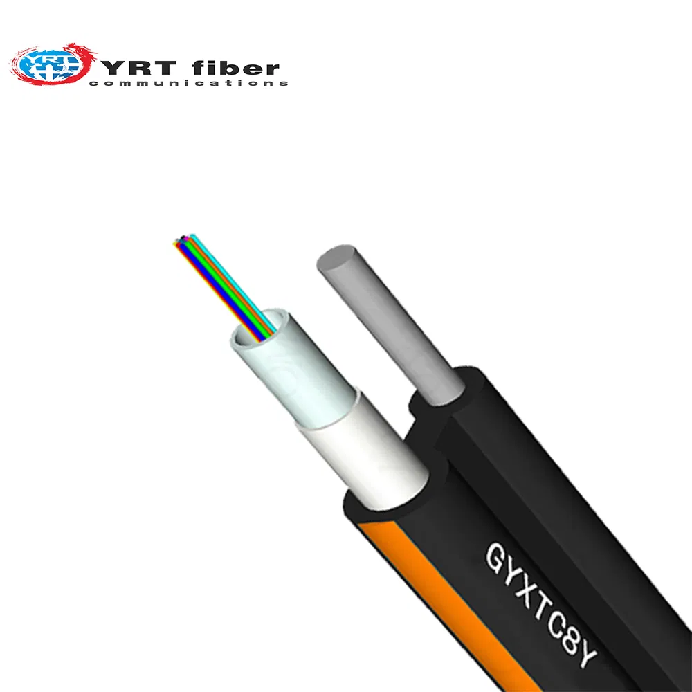 Fiber Optic Cable Detail 1