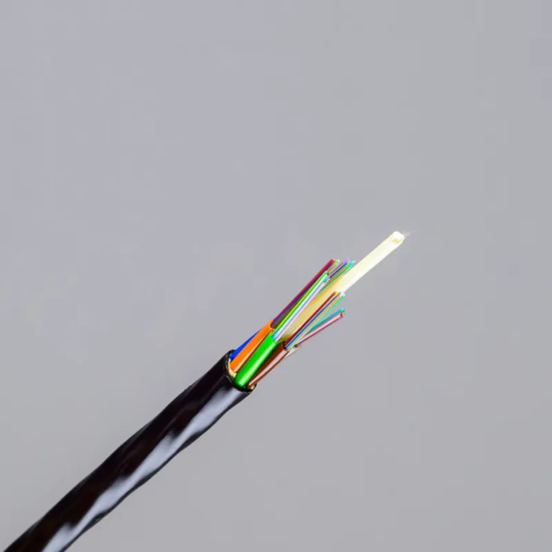Fiber Optic Cable Detail 1