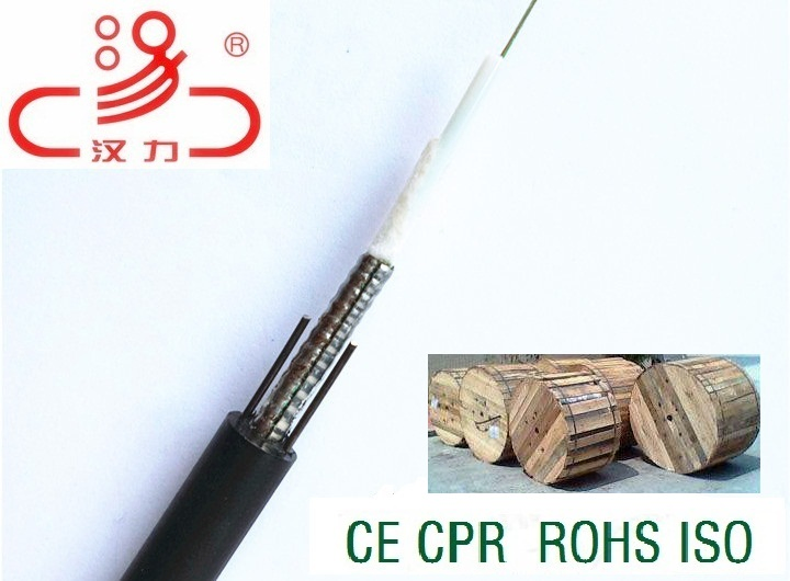 Direct Bury Underground 24 Core GYXTW Optic Fiber Cable