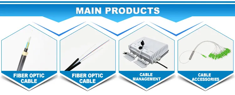 Main Products