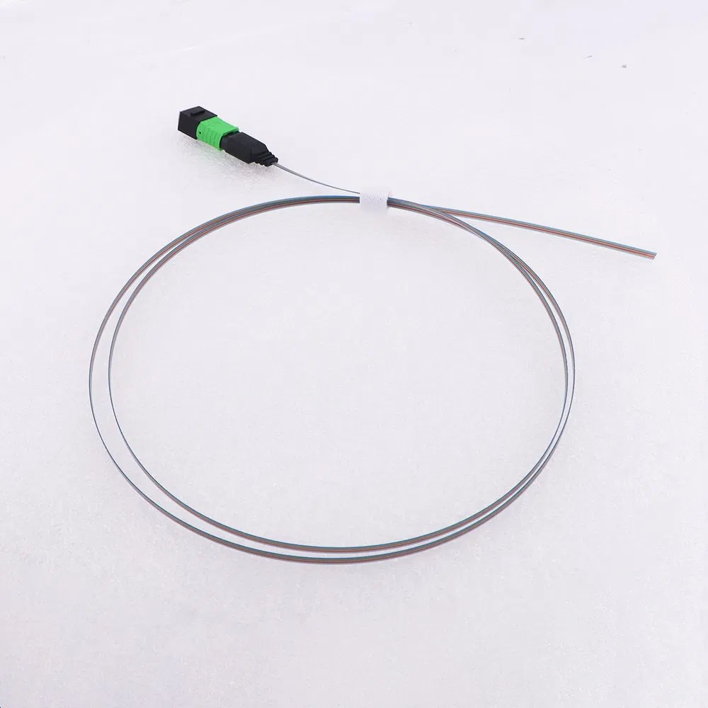 MPO Trunk Cable 12 Core MPO APC (no Pins) to 250um Flat Ribbon Fiber Data Center Communication Cable
