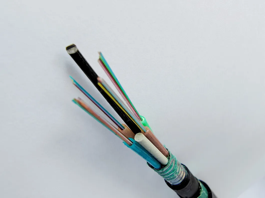 Fiber Optic Cable Detail 2