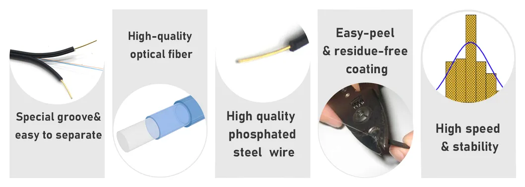 FTTH Detail 1