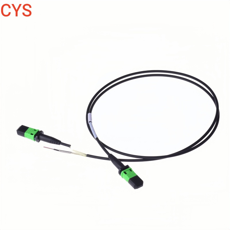 MPO Push Pull MPO Trunk Cable Mt Fiber Array Unit Mt Assembly Osfp Qsfp Aoc Optical Transceiver Data Center Nvidia Low Loss MPO Patchcord