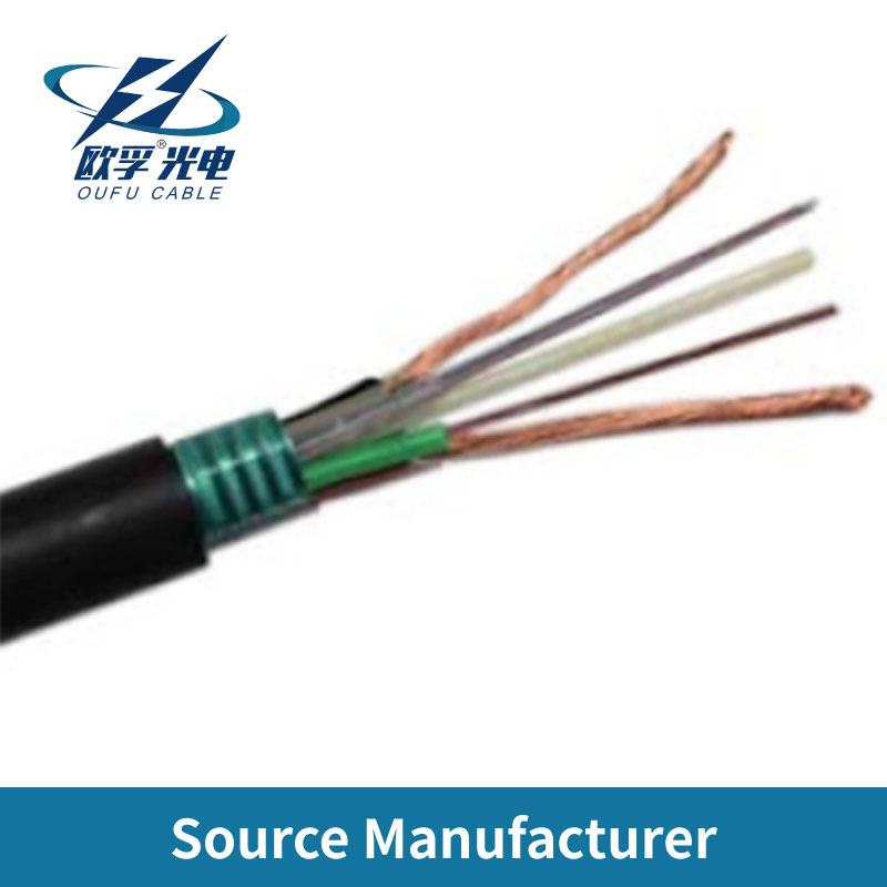 Fttp Fiber and Electric Hybrid Flat Drop 1-24 Core Single Mode Fiber Optic Cable with Copper Wire