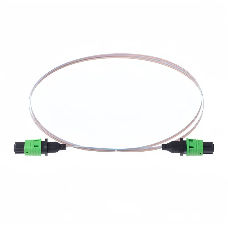 MPO Patchcord Detail 3