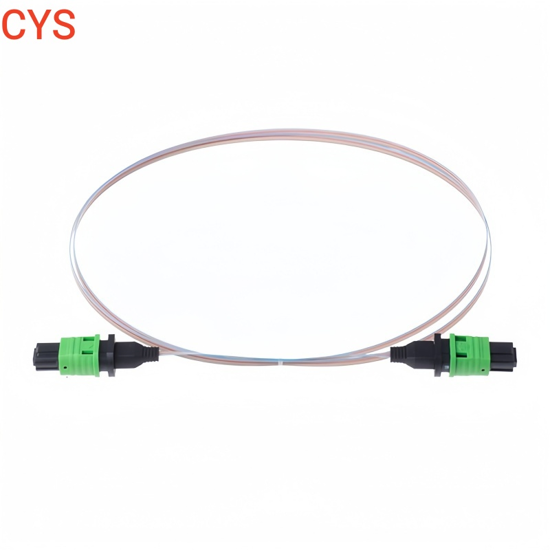 MPO Push Pull MPO Trunk Cable Mt Fiber Array Unit Mt Assembly Osfp Qsfp Aoc Optical Transceiver Data Center Nvidia Low Loss MPO Patchcord